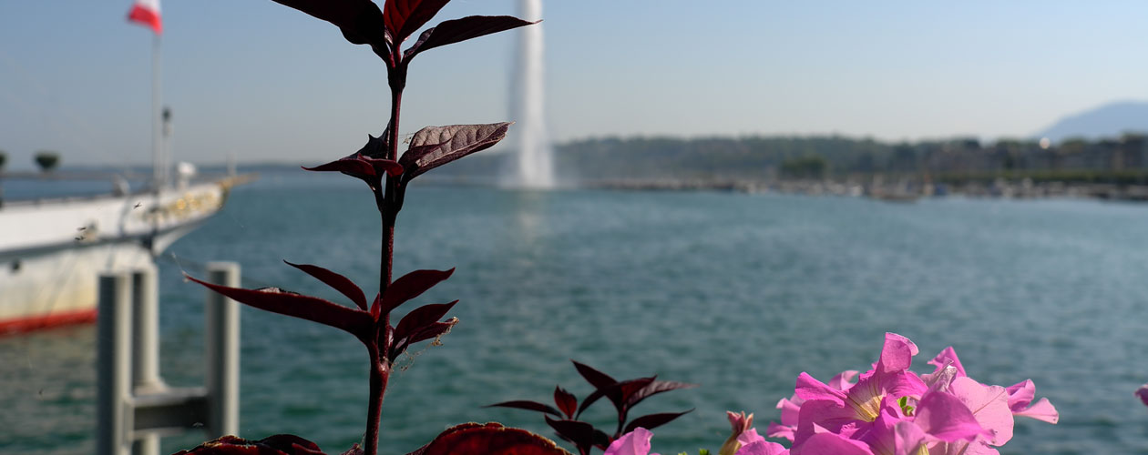 Euridice Opéra séjours culturels